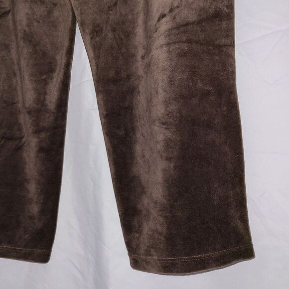 Draper's & Damon's Petites Hot Chocolate Brown Pull On Pants Size PXL - Picture 8 of 9
